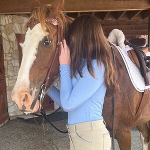 Dover Saddlery Blue Equestrian Shirt